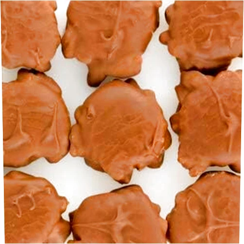Candy Retailer Milk Chocolate Covered Caramel Pecan Clusters 1 Lb.