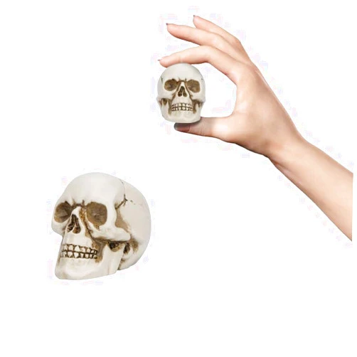 READAEER Mini Skull, Resin Skull Model for Home Decoration, Halloween Skull Statue, Human Skull Head Bone Model for Desktop