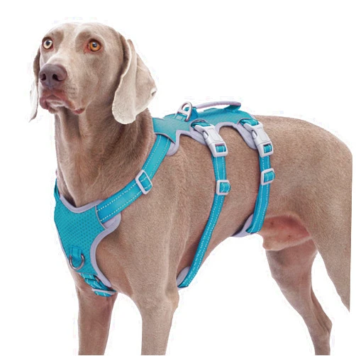 Huntboo Escape Proof Dog Harness, No Pull Reflective Harness with Lift Handle, Adjustable Pet Vest with Front and Back Leash Clips for Small Medium Large Dogs Walking Hiking Training (Teal,XL)