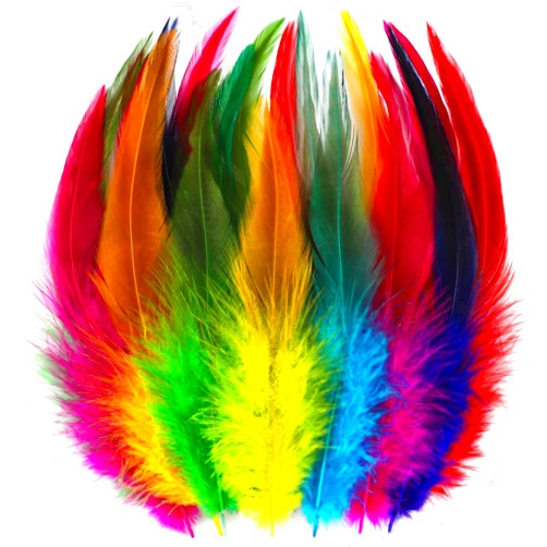 Holmgren Colorful Craft Rooster Feathers - 200pcs 5-7inch Colored Feathers Bulk for Kindergarten DIY Crafts, Art Projects and Party Decorations (Colorful)