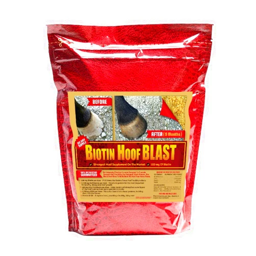 Horse Guard Hoof Supplements for Horses - Biotin Hoof Blast with 100mg's of Biotin per Serving - 10 lb, Concentrated Equine Hoof Health Supplement, Build Stronger Hooves with MSM and Methionine