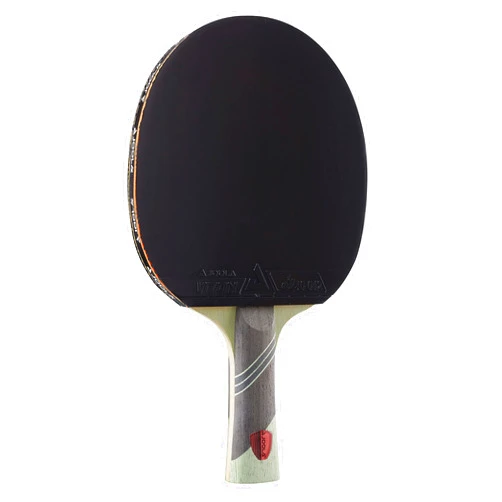 JOOLA Omega Speed - Table Tennis Racket for Advanced Training with Flared Handle - Tournament Level Ping Pong Paddle with Vizon Table Tennis Rubber- Designed for Speed