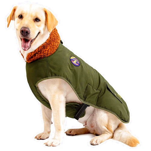 IREENUO Dog Coat, Waterproof Dog Jacket for Medium Large Dogs, Cozy Lining Coat Dog Outdoor Clothes with Furry Collar Warm Dog Bomber Jacket (Green, 2XL)