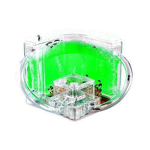 EXBEPE Ant Farm for Kids Safety and Environment Gel Ant Colony Ecosystem Terrarium, Ant Habitat Science Learning Kit(with No Ant)…
