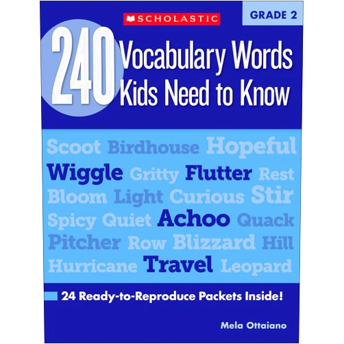 By Linda Beech (Author) 240 Vocabulary Words Kids Need to Know: Grade 2: 24 Ready-to-Reproduce Packets Inside! (Teaching Resources)