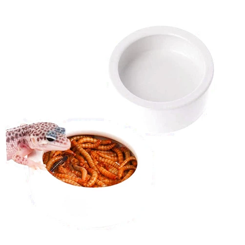 Tfwadmx 2 Pack Reptile Food Bowl, Mini Ceramic Water Feeder Bowl, Reptile Worm Feeding Dish for Lizard Turtle Bearded Dragon Anoles Crested Gecko Hermit Crab Leopard Gecko Chameleon Corn Snake