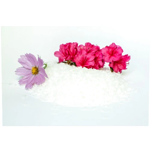 Candlewic 100% Pure White Beeswax Pellets (10lb)
