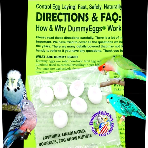 DummyEggs 6 Lovebird (Agapornis) Dummy Bird Eggs Stop Egg Laying! Realistic Nontoxic Plastic – USA Made