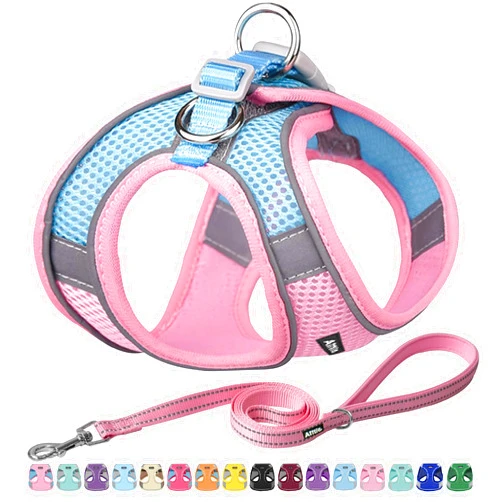 AIITLE Step in Dog Harness and Leash Set - Spring No Pull Escape Proof Vest Harnesses with Soft Mesh and Reflective Bands, Adjustable Pet Outdoor Harnesses for Small and Medium Dogs Pink M