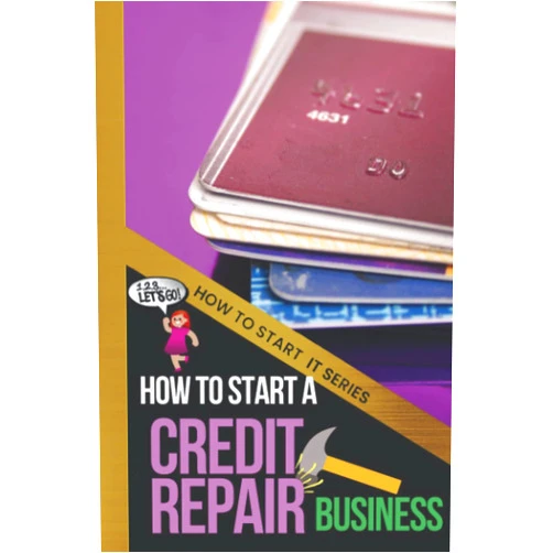 Quinn Chapman How to Start a Credit Repair Business: A Quick Start Beginners Guide to Establishing and Starting a Business to Restore Your Customers' Credit (How To Start It)