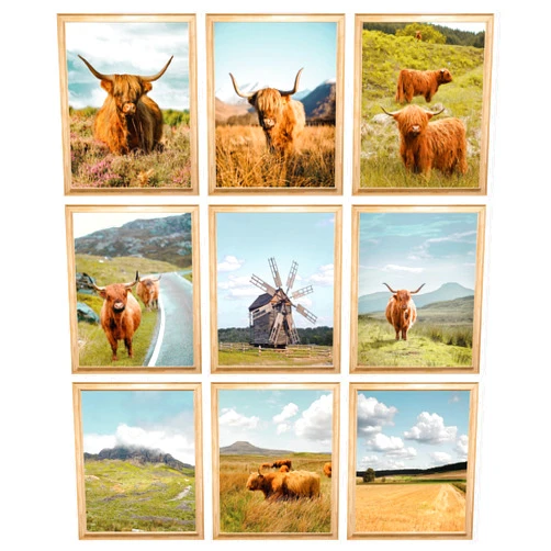 97 DECOR Highland Cow Wall Art - Highland Cow Pictures Wall Decor Farmhouse, Highland Cows Print Room Decor, Western Yak Posters Artwork, Longhorn Cow Photo for Home Bedroom Decoration (8x10 UNFRAMED)