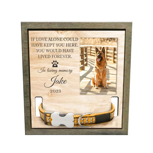 Viwoody Dog Memorial Picture Frame, Dog Collar Memorial Frame, Pet Collar Holder, Dog Memorial Gifts for Loss Of Dog, Pet Bereavement Gifts, Pet Memorial Frame, Dog Lover Gift MP01
