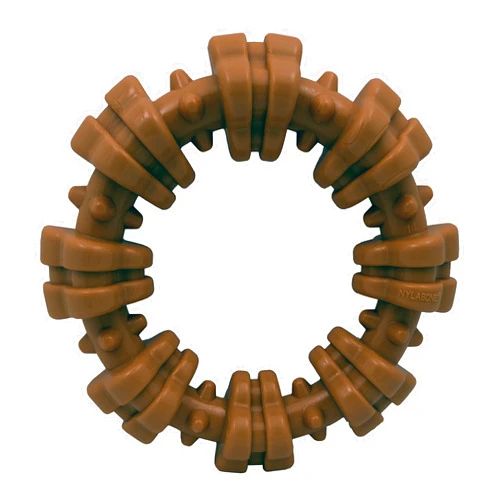 Nylabone Power Chew Textured Dog Chew Ring Toy - Tough and Durable Dog Chew Toy for Aggressive Chewers - Flavor Medley, Small/Regular (1 Count)