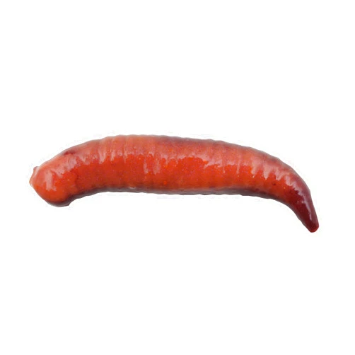 Berkley Gulp! Floating Pinched Crawler Fishing Soft Bait