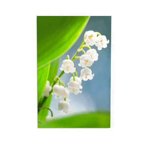 KAJAME Lily of The Valley Beautiful Flower Exquisite Wall Art Wall Decoration Painting Housewarming Gift Suitable for Living Room Office Washroom Bathroom Bedroom Toilet Kitchen And Other Decorations8x12inch