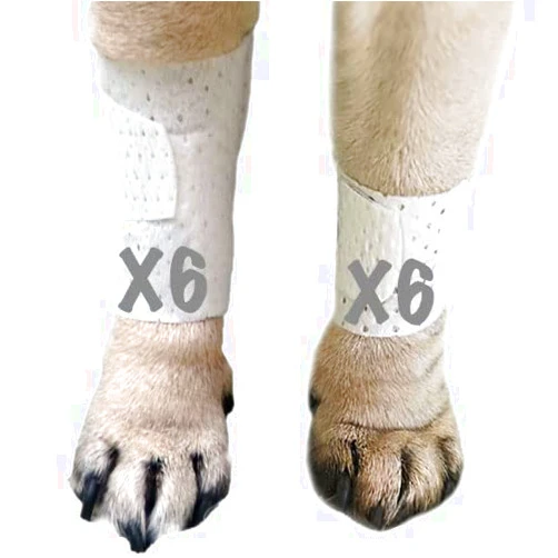 PawFlex Basic Leg Bandages for Dogs, Cats, Pets -First- aid Non Adhesive Fur Friendly, Soft Stretch Wound Care, hot Spots, Fungus, Adjustable Fastening Strap Value Pack (Medium 12-Pack)