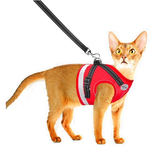 AVCCAVA Cat Harness and Leash for Walking, Escape Proof Soft and Breathable Adjustable Vest Harness for Cats, Lightweight Easy to Control Medium Dog Kitten Harness, Comfortable Outdoor Jacket