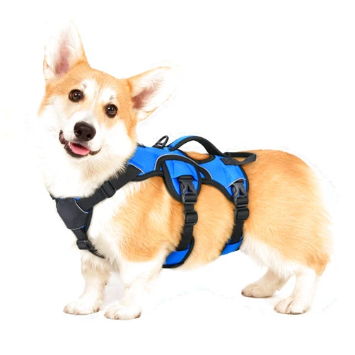 rabbitgoo Escape Proof Dog Harness, Soft Padded Full Body Pet Harness, Reflective Adjustable No Pull Vest with Lift Handle and Leash Clip for Large Dogs Walking Hiking Training, S, Blue