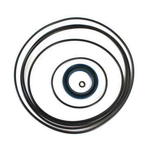 HIRINTOL 1 SET EX120-3 Swing Motor Seal Kit for Hitachi Excavator