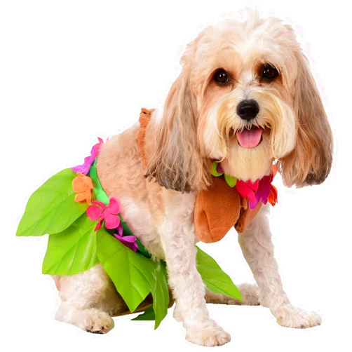 Rubies Rubie's Hula Girl Pet Costume, Small, Multicolor