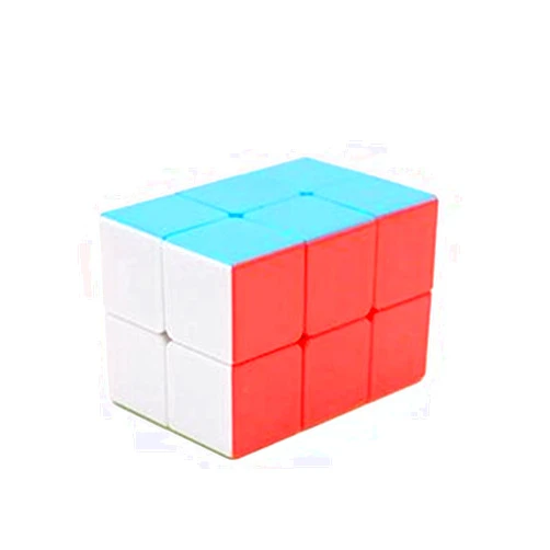 CuberSpeed 2x2x3 Stickerless Cuboid 223 Magic Cube Tower Shaped Magic Cube