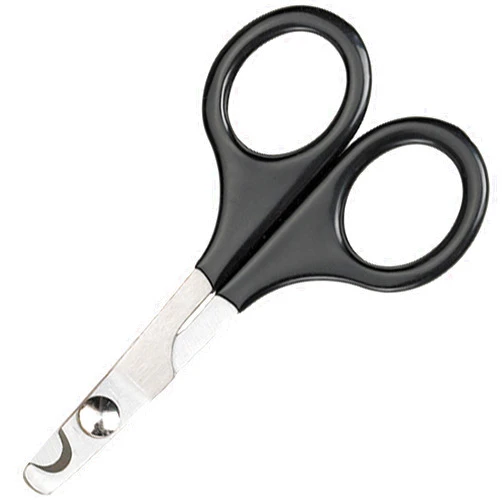 Master Grooming Tools Pet Nail Scissors — Stainless Steel Scissors for Trimming Nails on Cats and Birds - Medium, 5