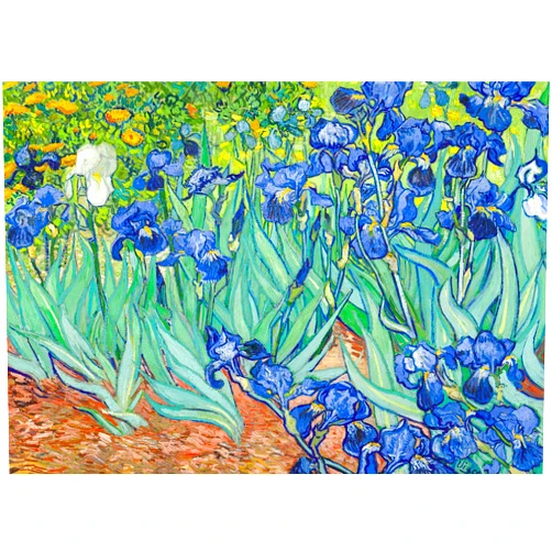 MBOQIU 1000 Piece Puzzle for Adults - Irises by Vincent Van Gogh - Classic Artwork Jigsaw Puzzle - Famous Oil Painting