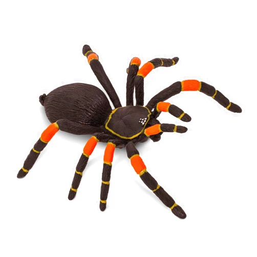 Safari Ltd. Orange-Kneed Tarantula Figurine - Realistic 8