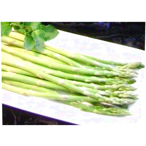 Bob Wells Nursery Jersey Knight Asparagus Plant (Sold in Bundles of 10)