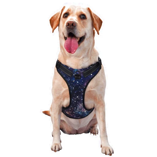 Nhgftr Planet Star Constellation Galaxy No-Pull Soft Mesh Padded Dog Harness Adjustable Designs Tailored for Pet