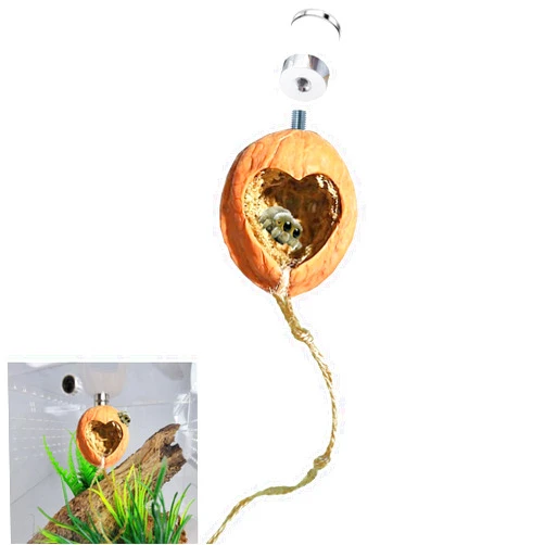 SMSUX Jumping Spider Hide Uses a Bolt/nut Combo Jumping Spider Enclosure Very Strong Real Walnut with Magnetism Jumping Spider Accessories Naturalistic Hide Jumping Spider Enclosure Accessories