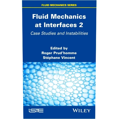 By Roger Prudhomme (Editor), Stephane Vincent (Editor) Fluid Mechanics at Interfaces 2: Case Studies and Instabilities
