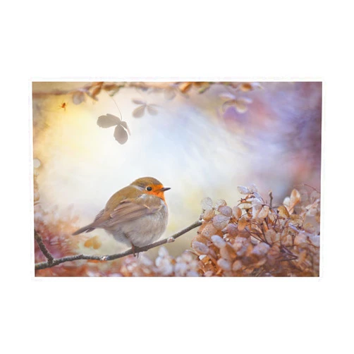 Trademark Fine Art Robin On Dreams by Teuni, 12x19-Inch