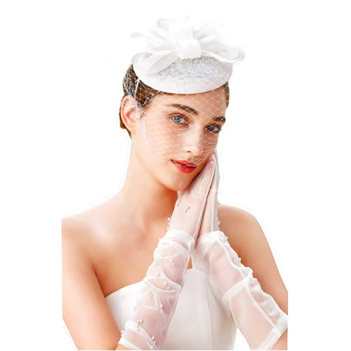 BABEYOND Fascinators Hat Veil Feather Hair Clip Tea Party Kentucky Pillbox Derby Bridal for Wedding
