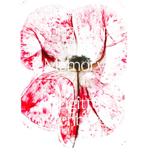 By Nadine Barth (Editor), Kanton Bern (Editor), Brigitte Lustenberger (Editor, Photographer), Chiara Agradi (Contributor), Nathalie Herschdorfer (Contributor), Yuri Mitsuda (Contributor), Danaé Panchaud (Contributor) & 4 more Brigitte Lustenberger: An Apparition of Memory