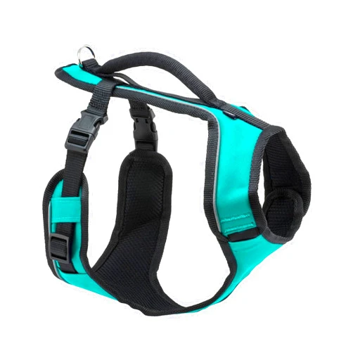 PetSafe EasySport Harness Padded Straps Fully Adjustable Elastic Neckline Best for Athletic Dogs Top Handle for Quick Control - Medium - Teal