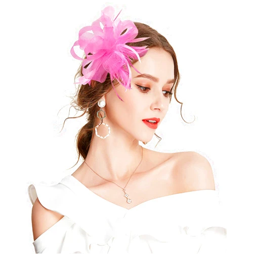 Z&X Sinamay Fascinator Pillbox Hats for Women Feather Flower Church Derby Headband Clip Wedding Tea Party Hat