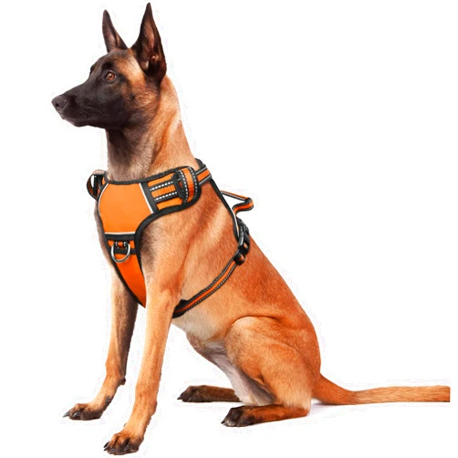 WINSEE Dog Harness No Pull, Adjustable Pet Vest with Front/Back Leash Clips, Reflective Soft Padded Dog Harness for Large Dogs, Easy Control Handle for Walking