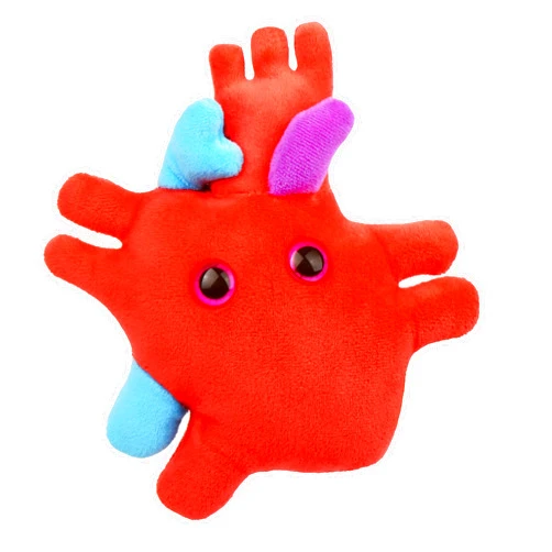 GIANT MICROBES GIANTmicrobes Heart Plush, Heart Stuffed Animal, Heart Transplant Gifts, Heart Toy, Anatomical Heart Gifts, Cardiologist Gifts, Cardiology Gifts, Open Heart Surgery Gifts, Heart Attack Survivor Gifts