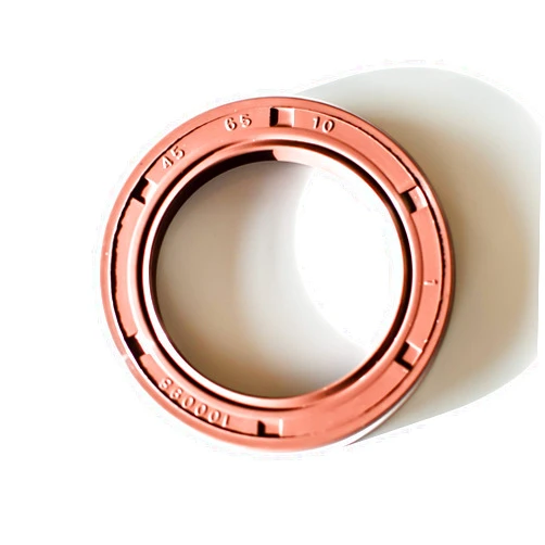 EAI 45mm x 65mm x 10mm FPM/FKM TC Double Lip w/Stainless Steel Spring Oil Seal. Comp. /w Viton Shaft Seal