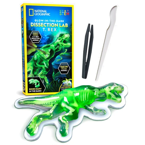 Blue Marble National Geographic Glow-in-The-Dark T. Rex Dissection Lab – Dissect a Synthetic Dinosaur, Build a 9.5” Glowing Tyrannosaurus Skeleton Model, Includes Refill Pack and Learning Guide, Dinosaur Toys