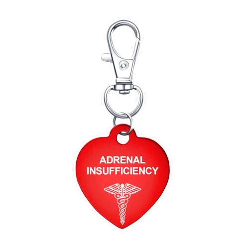 COMTRUDE Medical Alert Tag Keychain for Woman With Free Emergency Medic ID Dog Tag Charm Keychain for Bags Cloth Accessories