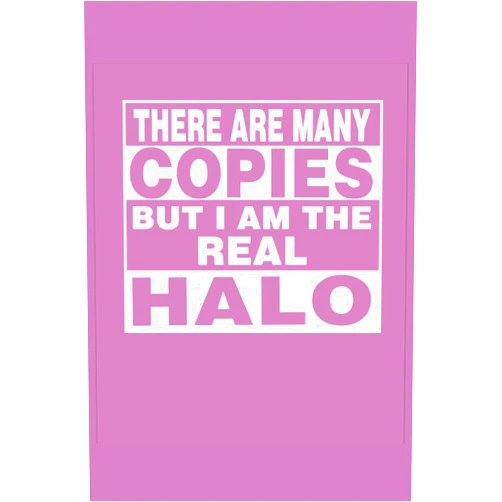 By Halo Publishing (Author) There Are Many Copies But Iam The Real Halo: Custom Journal for Halo | Notebook Lined 6