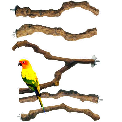Allazone 5 PCS Bird Perch Natural Grape Stick Bird Standing Stick Swing Chewing Bird Toys Natural Grapevine Bird Cage Perch for Parrot Cages Toy for Cockatiels, Parakeets, Finches