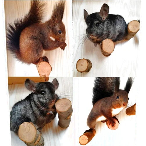 QBLEEV 3 PCS Hamster Chew Toys for Teeth, Chinchilla Cage Accessories Supplies, Guinea Pigs Natural Wood Chews Sticks for Rat Squirrels, Rabbits Perch Toys Birds Standing Platform for Parrot Bunny