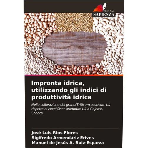 José Luis Ríos Flores,Sigifredo Armendáriz Erives,Manuel de Jesus a Ruiz-Esparza Impronta idrica, utilizzando gli indici di produttività idrica (Italian Edition)