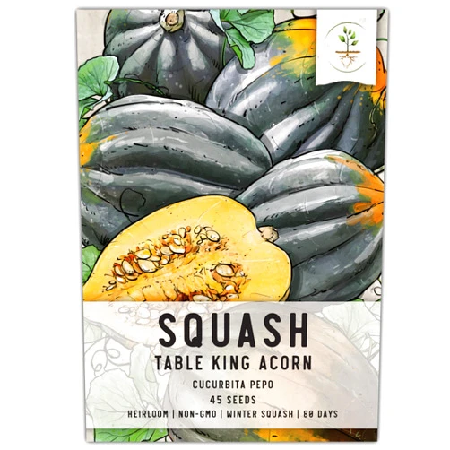 Seed Needs, Table King Acorn Winter Squash Seeds - 45 Heirloom Seeds for Planting Cucurbita Pepo - Non-GMO & Untreated Vegetable for an Outdoor Garden (1 Pack)