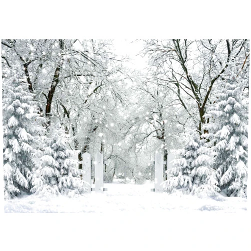 Felortte 7x5FT White Winter Forest Scene Photography Backdrop Wonderland Snowflake Landscape Background for Christmas Xmax Family Holiday Party Decorations Supplies Banner Picture Photo Studio Props