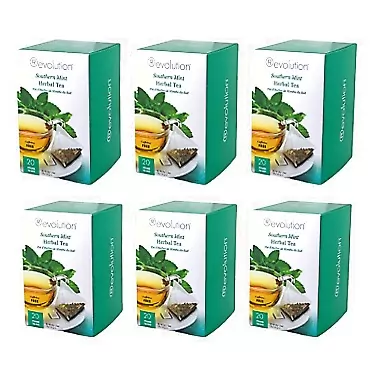 Revolution Tea - Mesh Infuser Full Leaf Tea - Southern Mint - Herbal Tea - 20 Bags - 6 Pack Southern Mint Herbal 20 Count (Pack of 6)