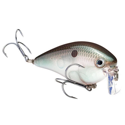 Strike King (HCKVD2.5W-568) KVD 2.5 Wake Bait Fishing Lure, 568 - Green Gizzard Shad, 3/8 oz, Unique Clacking Sound